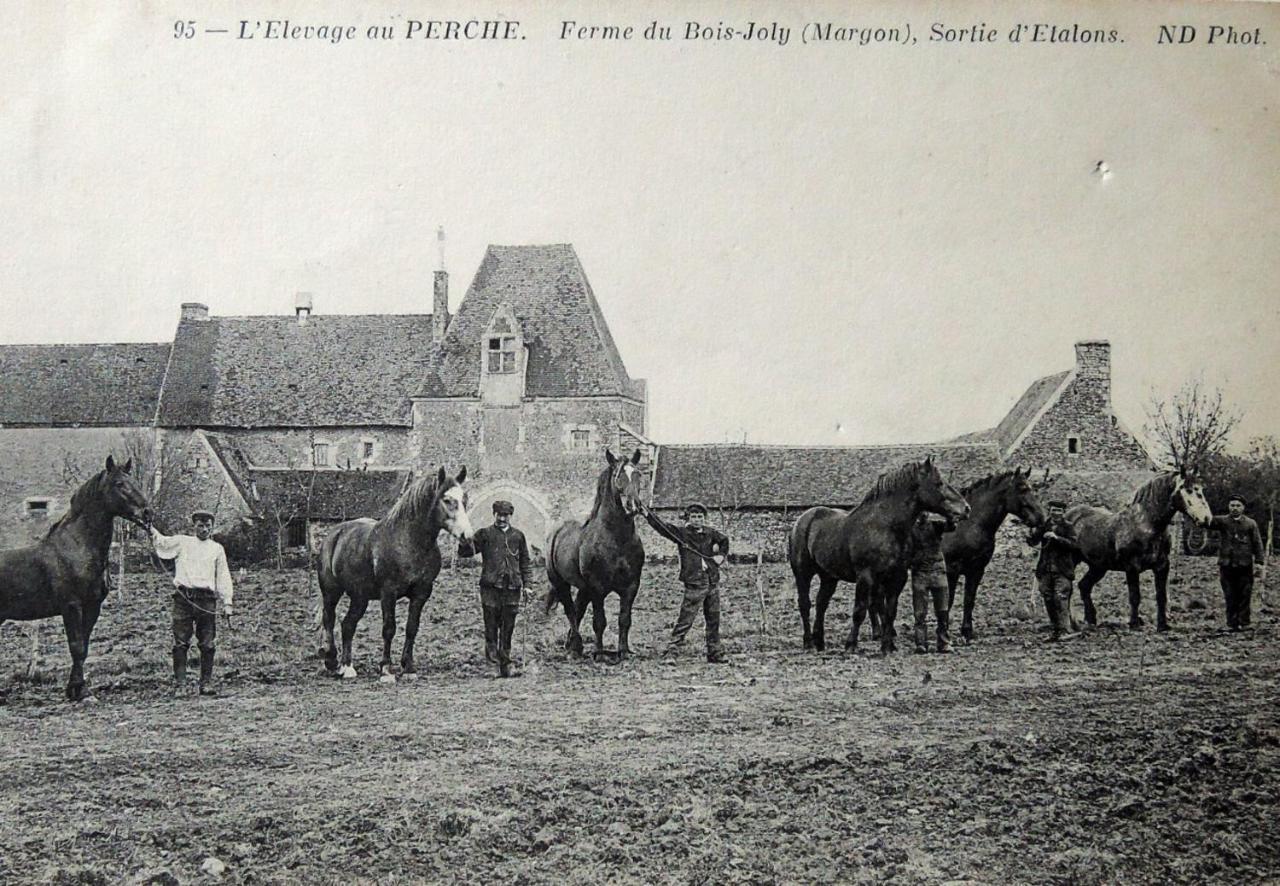 Manoir Du Bois Joly - Cabanes De Berger Margon  Exterior photo